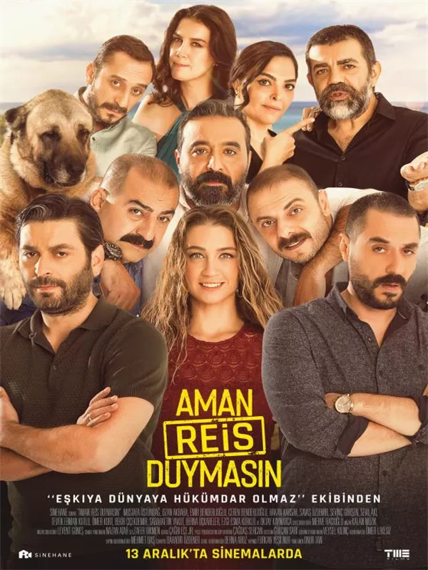 Aman Reis Duymasın