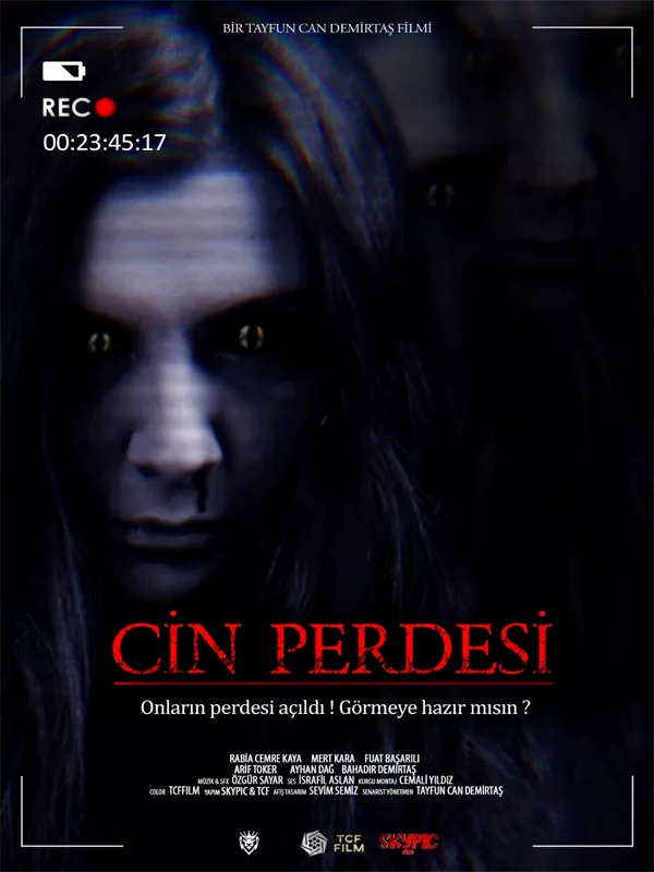 Cin Perdesi