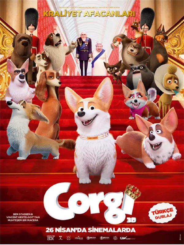 Corgi