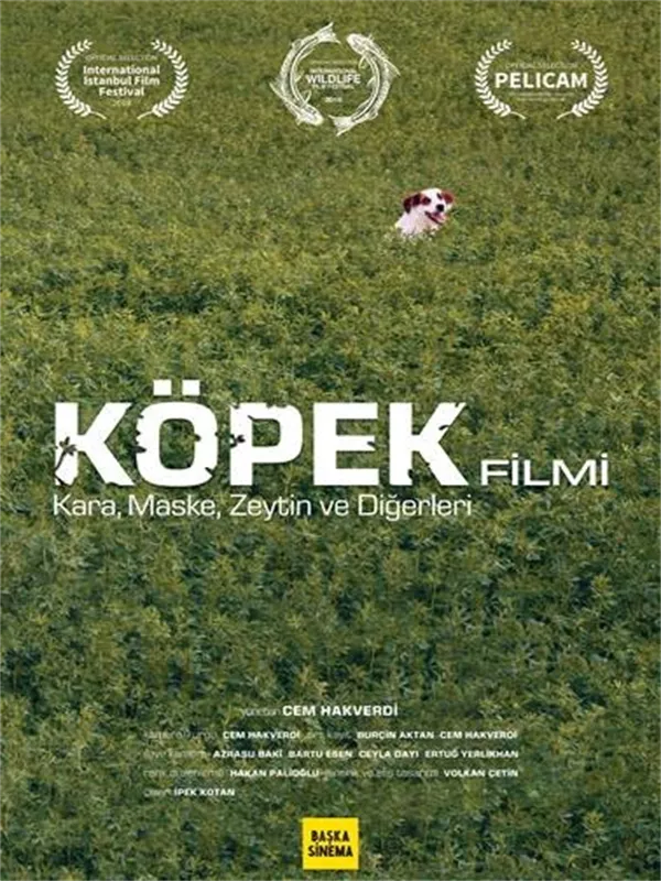 Köpek Filmi