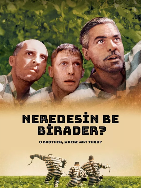 Neredesin Be Birader?