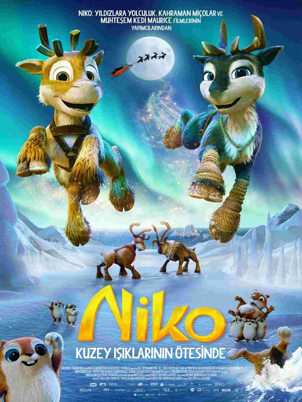 Niko 3: Kuzey Işıklarının Ötesinde