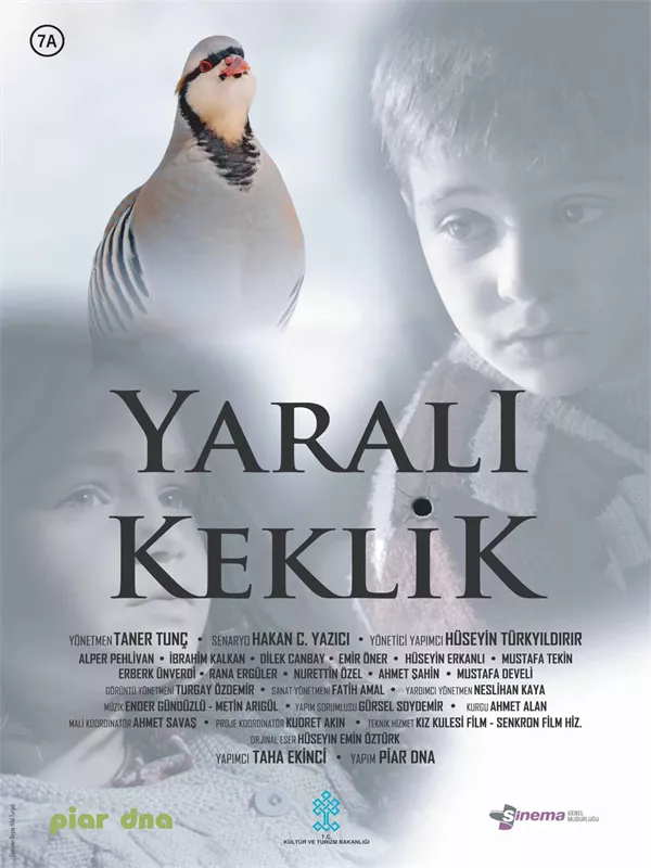 Yaralı Keklik